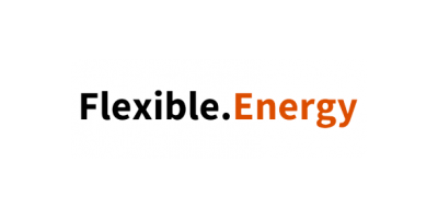 Flexible Energy logo